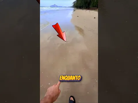 Ele Pensou Que Era Um Pedaço de Tecido Até Tirá-lo da Areia! 🟣🏖️