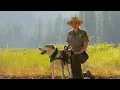 How to Become a B A R K Ranger Visiting Yosemite with a Dog