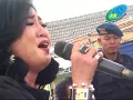 Download Lagu New Palapa - Erie Suzan - Tum Hiho (Kayu Manis Gringsing Batang)