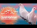 Download Lagu Surah Rahman l Rehman IEpsode 55 I Beautiful Quran Recitation Video I سورۃ الرحمٰن