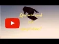 Epic win and Fails Compilation