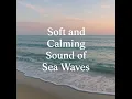 Soft and Calming Sound of the Sea at Dawn