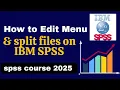 IBM SPSS 2025 Tutorial How to Use Edit Menu Split File Step-by-Step