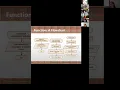 JAVA Bootcamp Day 3 2