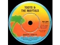 Download Lagu [1980] Toots \u0026 the Maytals • Chatty, Chatty