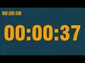 37 second timer with end alarm time elapsed and progress bar