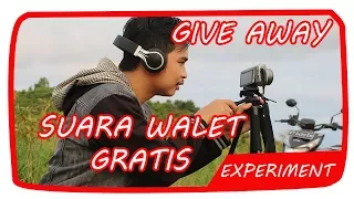 suara walet gratis download suara walet mp3