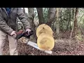 Stihl 036 vs Stihl 036 PRO