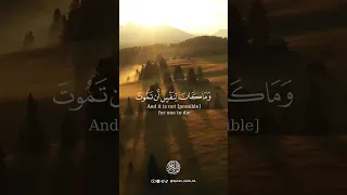 سورة آل عمران الآية 145 القارئ ماهر المعيقلي 