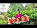 Download Lagu Mãng Cầu Xiêm Thái Đang Có Tại Vựa Cây Giống Huyền Linh