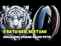 Download Lagu TAK TERTANDINGI ‼️ 5 BATU AKIK BERTUAH FAVORIT KHODAM MACAN PUTIH 