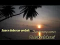 Download Lagu Musik relaksasi Suara deburan ombak dan burung camar pengantar tidur||relaksasi pikiran||insomnia