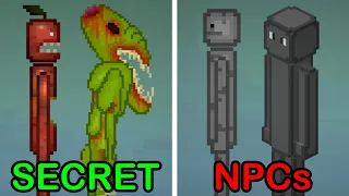 I Tested Every Secret in Melon Sandbox