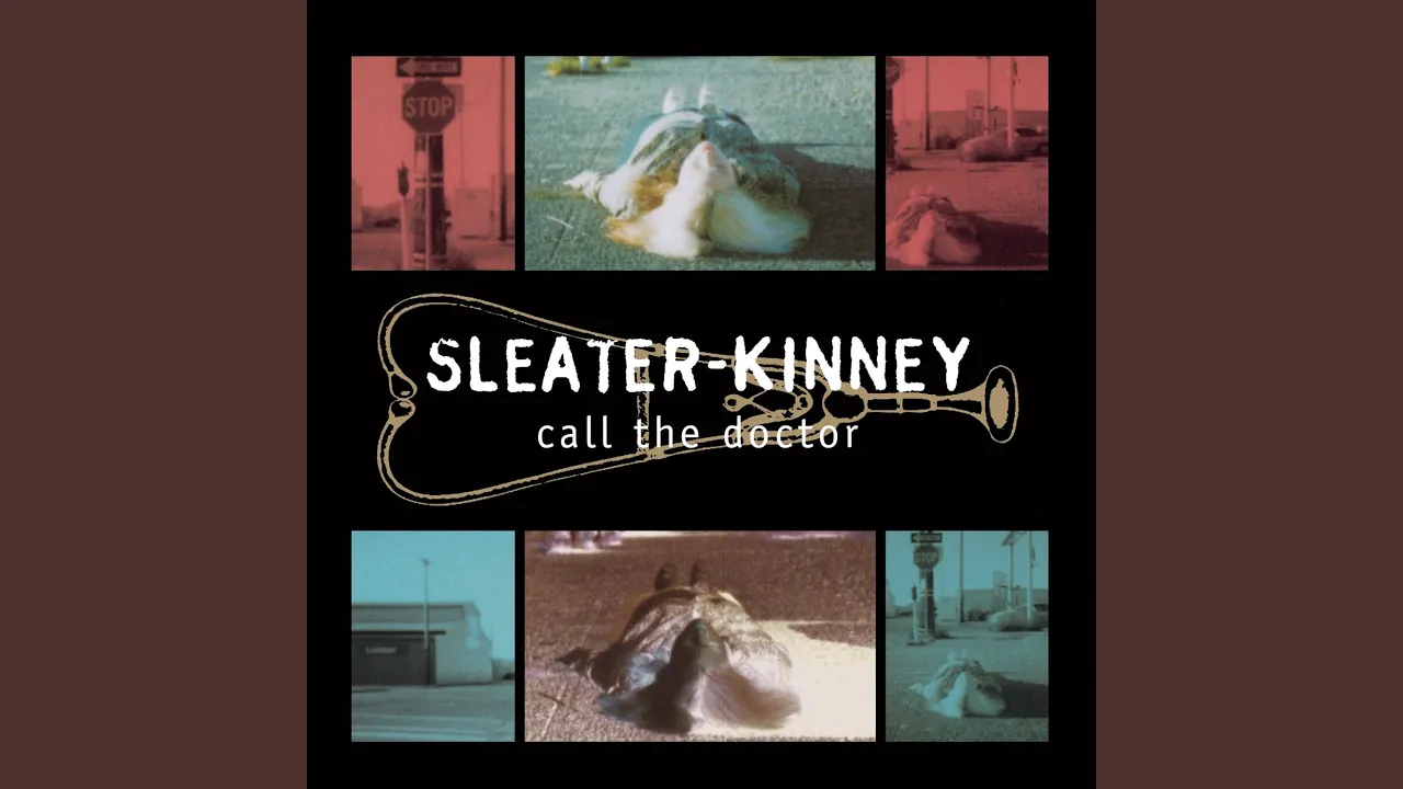 I Wanna Be Your Joey Ramone