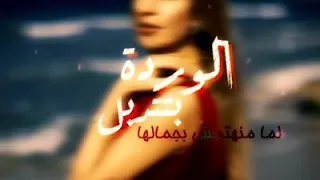 جنات الورده بتدبل دندنها