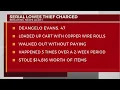 Serial shoplifter arrested in Nashville