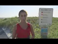 Beach safety s stress importance of the flag system as the summer season ends