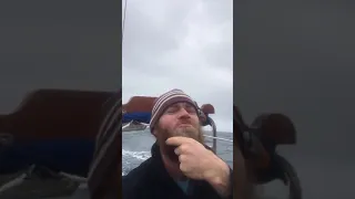 Sailing Sparrow #shorts