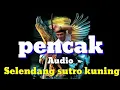 Download Lagu Pencak Audio selendang sutro kuning