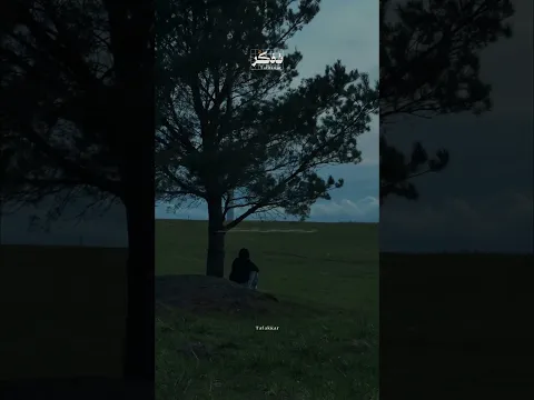 من أراد ملك الجنان فليقم إلى نور القرآن ❤️