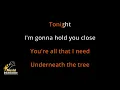 Underneath the Tree - Kelly Clarkson (Karaoke Songs With Lyrics - Original Key)