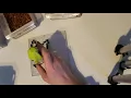 Work On Etsy Orders With Me - Relaxing Perler Bead Art Time Lapse Tutorial