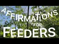 Affirmations for Feeders
