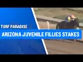 2025 30 000 Arizona Juvenile Fillies Stakes at Turf Paradise