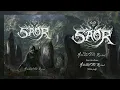 Download Lagu Saor - 'Amidst the Ruins' (Official Album Stream)