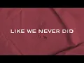 FINMAR - Like We Never Did (Lyric Video)