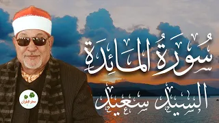 سورة المائدة السيد سعيد 