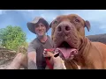 My Big Boy Hank - FAQs