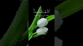 شهر رمضان الذي أنزل فيه القرآن أحمد العجمي كرومات قرآن شهر رمضان سورة البقرة شاشة سوداء 