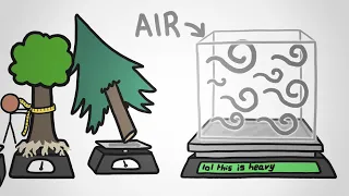 The Heaviest Part of a Forest Is NOT What You Think