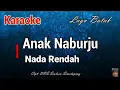 Download Lagu Karaoke : Anak Naburju. B=do (Nada Rendah)