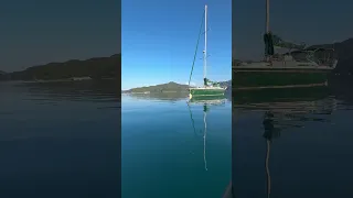 Seeing Things Twice #fieldnotes #agingwell  #beautiful