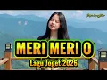 Lagu Joget Terbaru ENU MERI || Safrin Lapang Rmxr