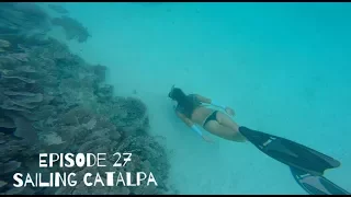 Catching SQUID and diving with MANTAS! Episode 27 (Sailing Catalpa)