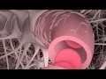 Crossing the Blood Brain Barrier The Impact of the Reynolds Professorship