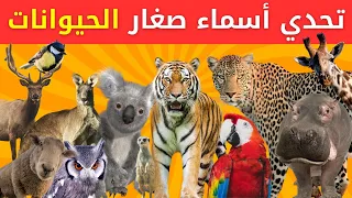 تحدي خمن أسماء 100 صغير من الحيوانات سهل متوسط صعب ومستحيل 🐾 ألغاز للأذكياء