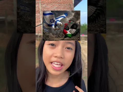 Kalian pilih elang atau ayam.?
