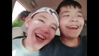                     دندنها