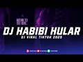 Download Lagu DJ HABIBI X MAMA AFRIKA