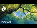 The Third Choice A Life Hack To Change The Game Podcast