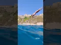 Sexy Prime Minister Sanna Marin Does a High Dive in Bikini