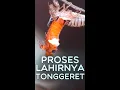 Download Lagu Detik Detik L4HIR nya Garengpung / Tonggeret