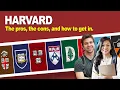 Harvard University The pros the cons and how to get in