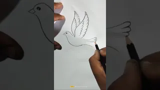 رسم سهل رسم حمامة حمامة السلام اتعلم رسم حمامة السلام بسهولة وسرعة رسم حمامة بالرصاص 