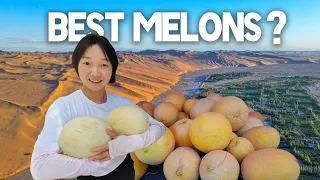跟随马可·波罗穿越中国最甜蜜的沙漠：第3季第7集