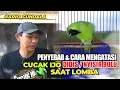 Lagu CUCAK IJO 'DIDIS' SAAT LOMBA, SOLUSINYA?